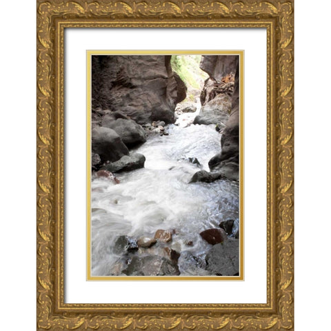 Box Canyon I Gold Ornate Wood Framed Art Print with Double Matting by Styber, Dana