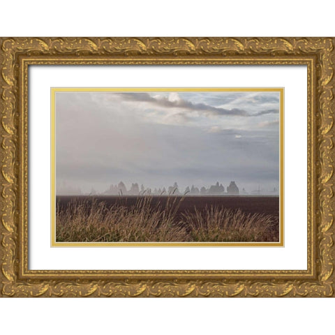 Foggy Morning II Gold Ornate Wood Framed Art Print with Double Matting by Styber, Dana