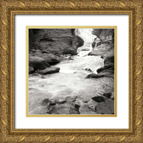 Box Canyon III Gold Ornate Wood Framed Art Print with Double Matting by Styber, Dana