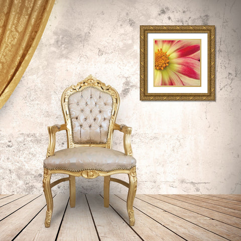 Starburst Square III Gold Ornate Wood Framed Art Print with Double Matting by Styber, Dana