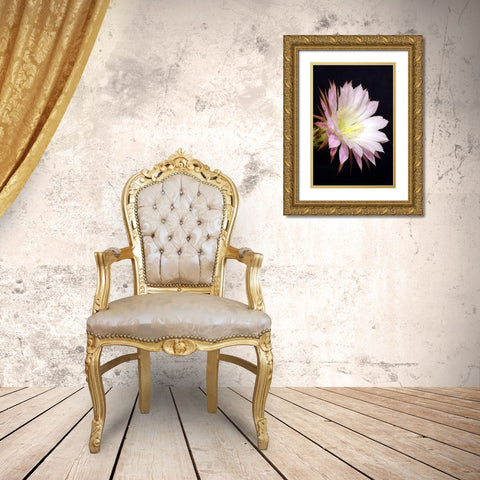 Echinopsis Flowers IV Gold Ornate Wood Framed Art Print with Double Matting by Taylor, Douglas