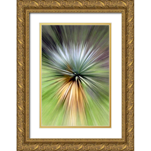 Mountain Yucca Gold Ornate Wood Framed Art Print with Double Matting by Taylor, Douglas