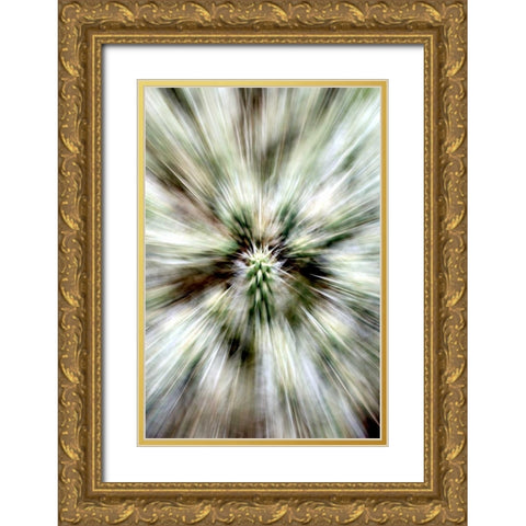Cactus Spines Gold Ornate Wood Framed Art Print with Double Matting by Taylor, Douglas