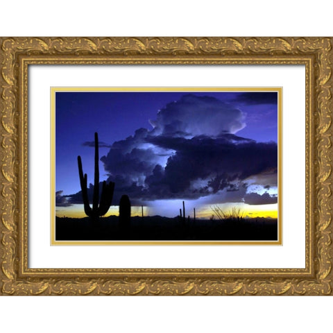 Blue Thunder Gold Ornate Wood Framed Art Print with Double Matting by Taylor, Douglas