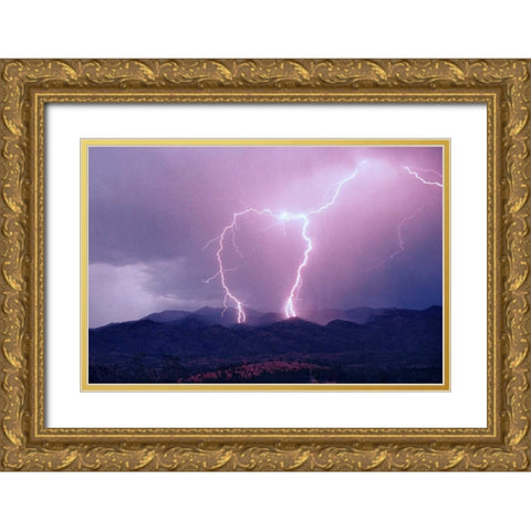 Striking Symmetry I Gold Ornate Wood Framed Art Print with Double Matting by Taylor, Douglas