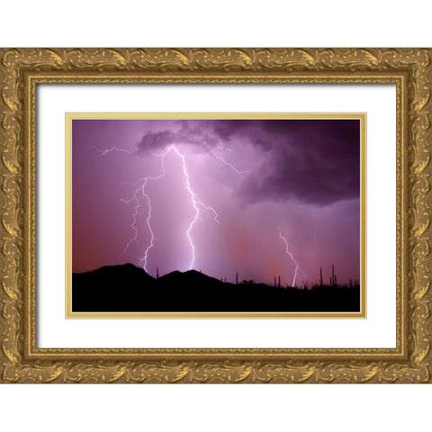 Striking Symmetry II Gold Ornate Wood Framed Art Print with Double Matting by Taylor, Douglas