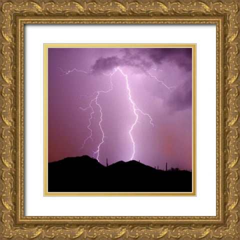 Summer Lightning I Gold Ornate Wood Framed Art Print with Double Matting by Taylor, Douglas