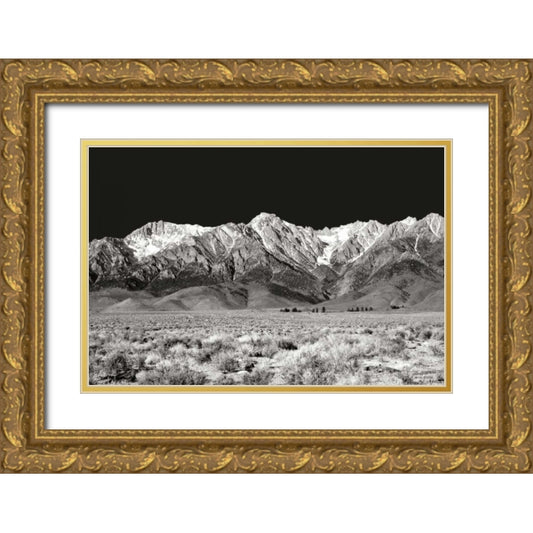 Perspective Image