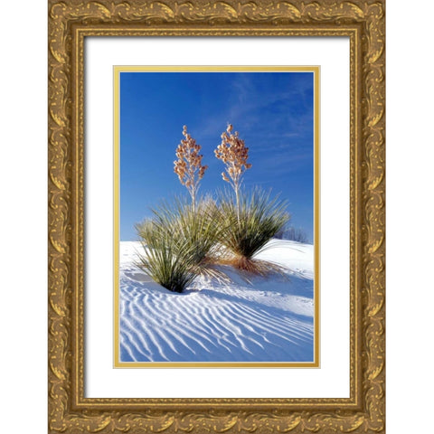 Yuccas and White Sand I Gold Ornate Wood Framed Art Print with Double Matting by Taylor, Douglas