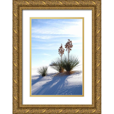 Yuccas and White Sand II Gold Ornate Wood Framed Art Print with Double Matting by Taylor, Douglas