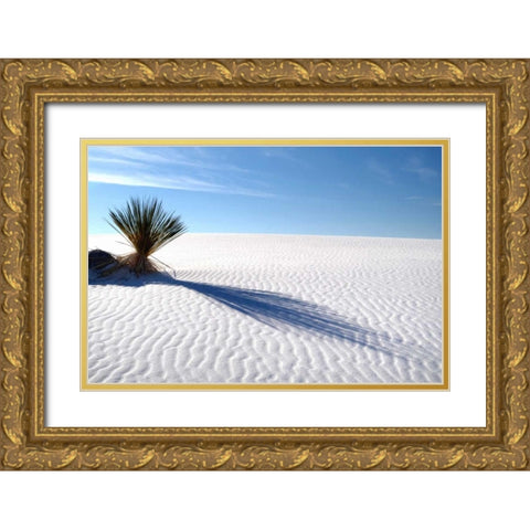 Sand Shadows I Gold Ornate Wood Framed Art Print with Double Matting by Taylor, Douglas