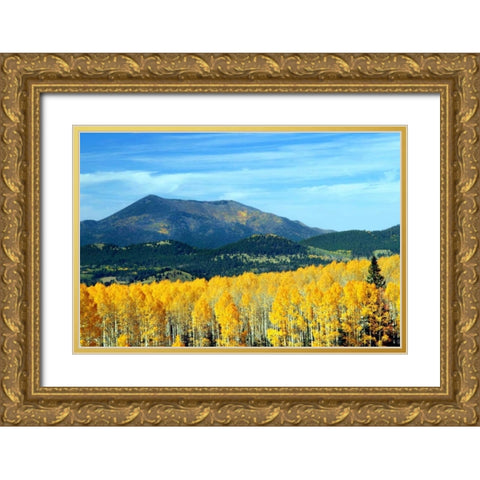 Aspens of Autumn II Gold Ornate Wood Framed Art Print with Double Matting by Taylor, Douglas