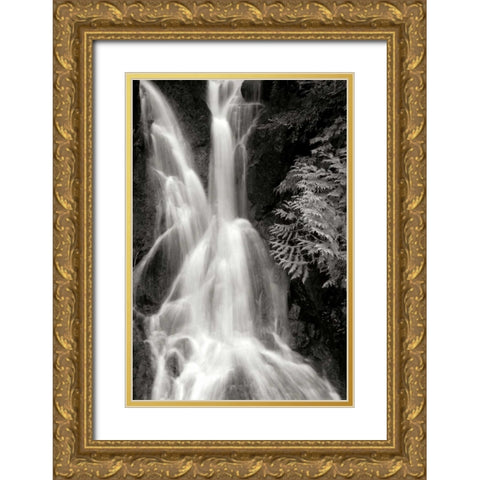Falling Water I BW Gold Ornate Wood Framed Art Print with Double Matting by Taylor, Douglas