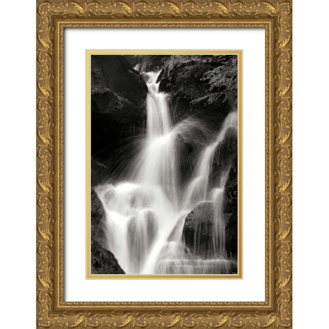 Falling Water II BW Gold Ornate Wood Framed Art Print with Double Matting by Taylor, Douglas
