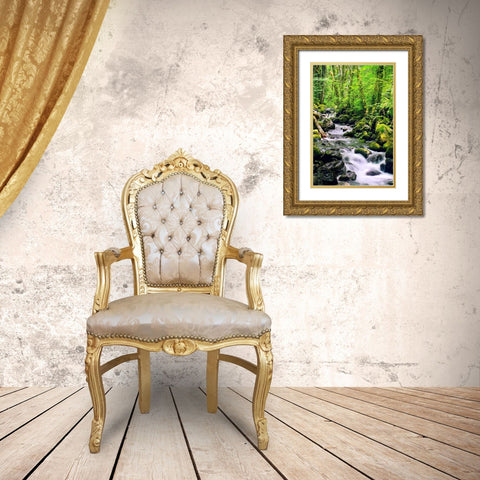 Snowmelt Gold Ornate Wood Framed Art Print with Double Matting by Taylor, Douglas