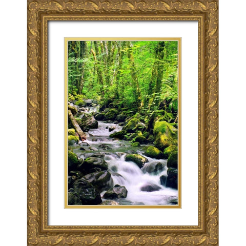 Snowmelt Gold Ornate Wood Framed Art Print with Double Matting by Taylor, Douglas