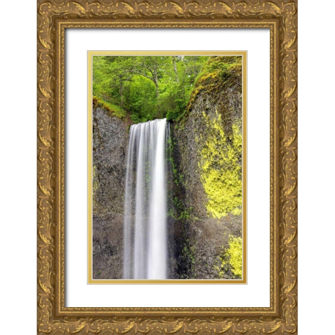 Latourell Falls Gold Ornate Wood Framed Art Print with Double Matting by Taylor, Douglas