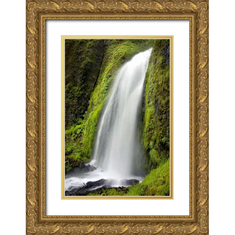 Wahkeena Falls Gold Ornate Wood Framed Art Print with Double Matting by Taylor, Douglas