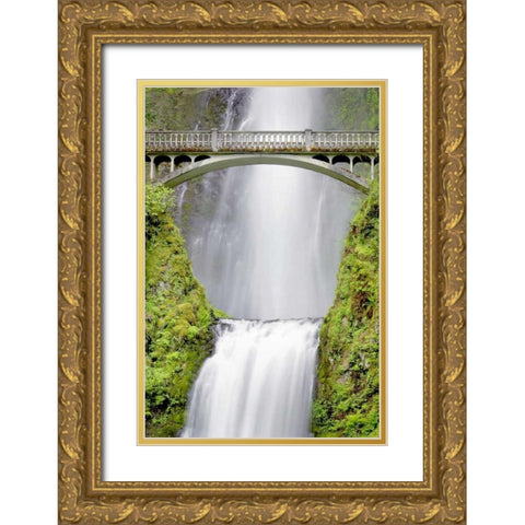 Water Under the Bridge Gold Ornate Wood Framed Art Print with Double Matting by Taylor, Douglas