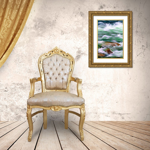 By the River II Gold Ornate Wood Framed Art Print with Double Matting by Taylor, Douglas