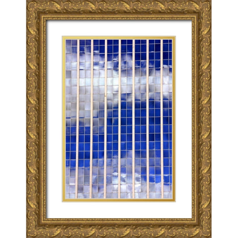 Sky Reflections Gold Ornate Wood Framed Art Print with Double Matting by Taylor, Douglas