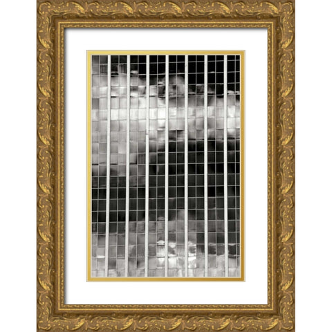 Sky Reflections BW Gold Ornate Wood Framed Art Print with Double Matting by Taylor, Douglas