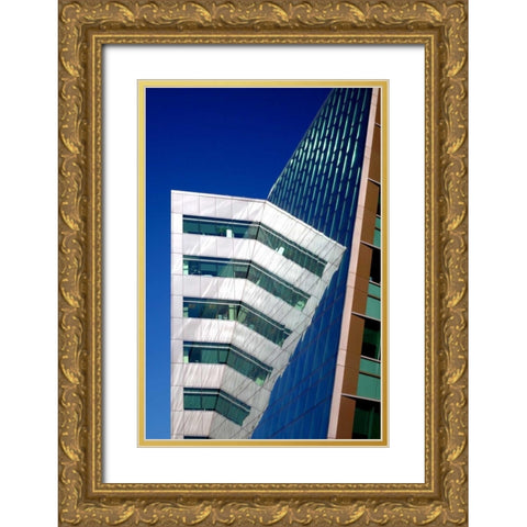 Design Reflections Gold Ornate Wood Framed Art Print with Double Matting by Taylor, Douglas