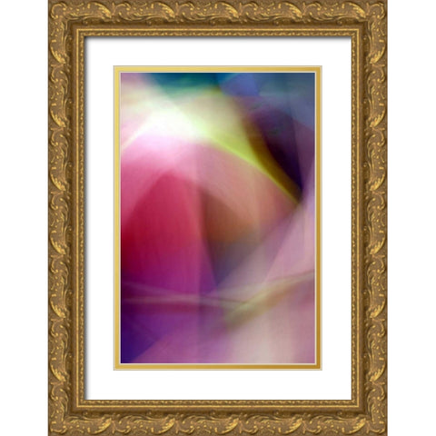 Chaos of Color Gold Ornate Wood Framed Art Print with Double Matting by Taylor, Douglas