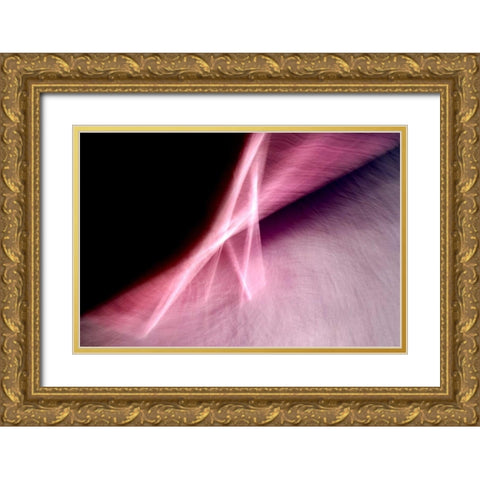 Flying A Gold Ornate Wood Framed Art Print with Double Matting by Taylor, Douglas