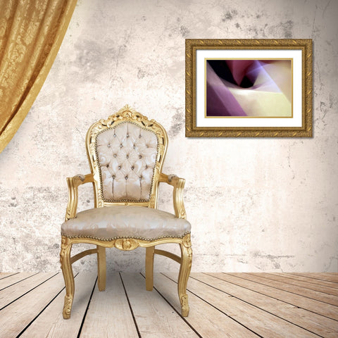 Angles Gold Ornate Wood Framed Art Print with Double Matting by Taylor, Douglas