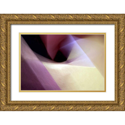 Angles Gold Ornate Wood Framed Art Print with Double Matting by Taylor, Douglas