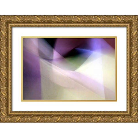 Tazza Gold Ornate Wood Framed Art Print with Double Matting by Taylor, Douglas