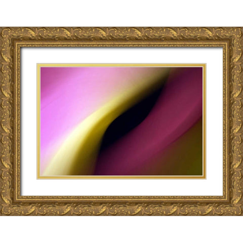Twisted Beams I Gold Ornate Wood Framed Art Print with Double Matting by Taylor, Douglas
