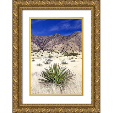 Desert Grasslands I Gold Ornate Wood Framed Art Print with Double Matting by Taylor, Douglas