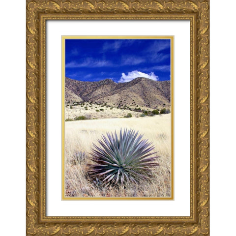 Desert Grasslands II Gold Ornate Wood Framed Art Print with Double Matting by Taylor, Douglas