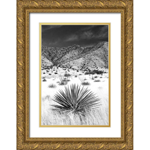 Desert Grasslands I BW Gold Ornate Wood Framed Art Print with Double Matting by Taylor, Douglas