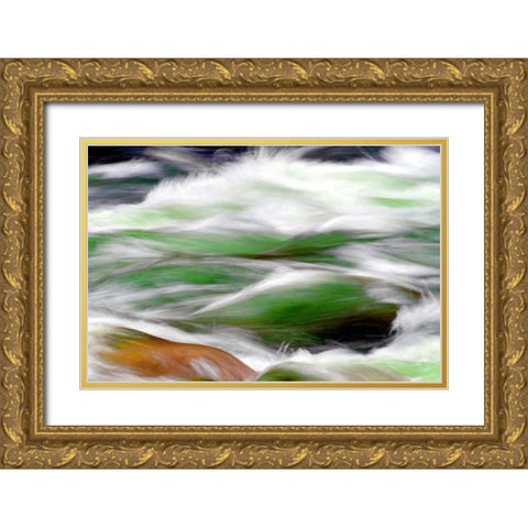River Rapids Gold Ornate Wood Framed Art Print with Double Matting by Taylor, Douglas