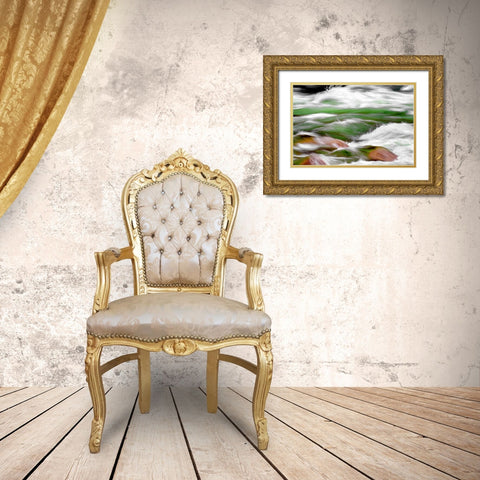 One Mile Riffle Gold Ornate Wood Framed Art Print with Double Matting by Taylor, Douglas