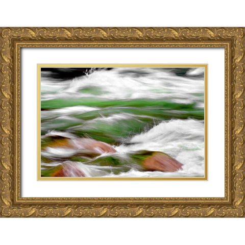 One Mile Riffle Gold Ornate Wood Framed Art Print with Double Matting by Taylor, Douglas