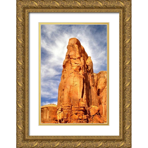 Spearhead Mesa Gold Ornate Wood Framed Art Print with Double Matting by Taylor, Douglas