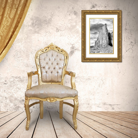 Monument Valley I BW Gold Ornate Wood Framed Art Print with Double Matting by Taylor, Douglas