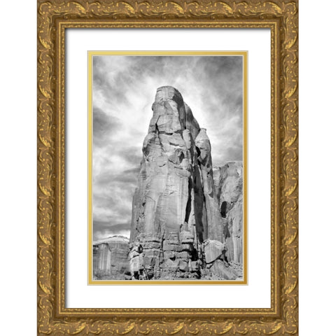 Spearhead Mesa BW Gold Ornate Wood Framed Art Print with Double Matting by Taylor, Douglas