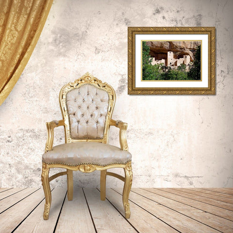 Cliff Dwelling At Mesa Verde Gold Ornate Wood Framed Art Print with Double Matting by Taylor, Douglas