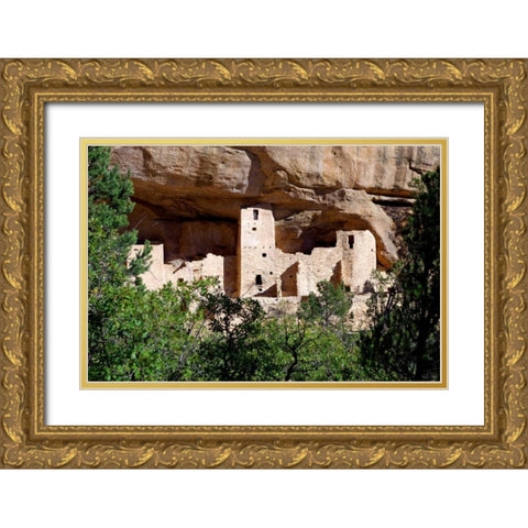 Cliff Dwelling At Mesa Verde Gold Ornate Wood Framed Art Print with Double Matting by Taylor, Douglas