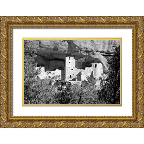 Cliff Dwelling At Mesa Verde BW Gold Ornate Wood Framed Art Print with Double Matting by Taylor, Douglas