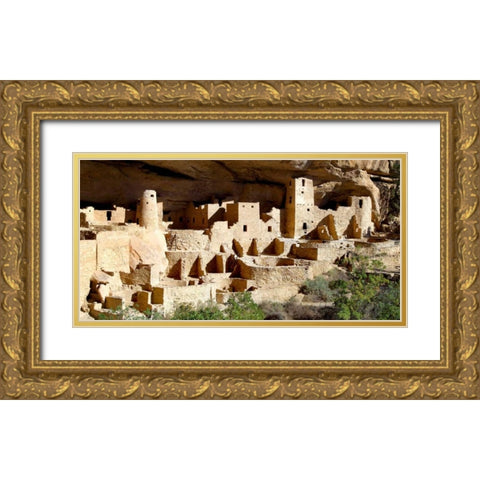 Cliff Palace at Mesa Verde Gold Ornate Wood Framed Art Print with Double Matting by Taylor, Douglas
