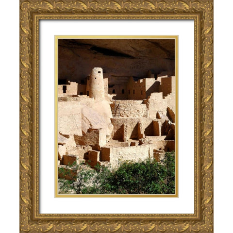 Cliff Palace Pueblo Portrait Gold Ornate Wood Framed Art Print with Double Matting by Taylor, Douglas