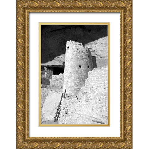 Cliff Palace Detail II BW Gold Ornate Wood Framed Art Print with Double Matting by Taylor, Douglas