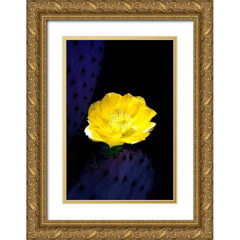 Prickly Pear Cactus Blossom Gold Ornate Wood Framed Art Print with Double Matting by Taylor, Douglas