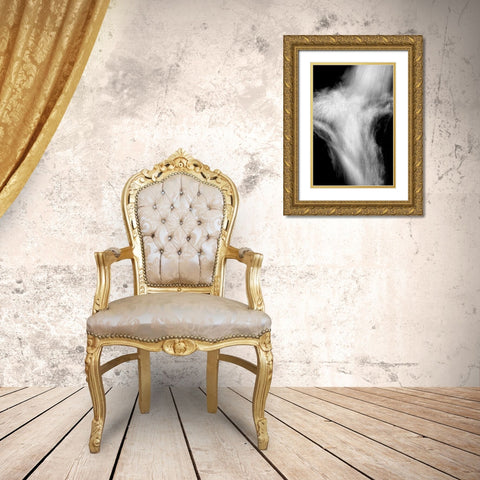 Falling Water III BW Gold Ornate Wood Framed Art Print with Double Matting by Taylor, Douglas